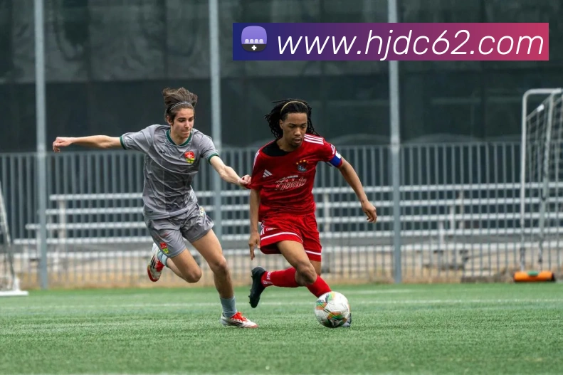 数据防护可视化